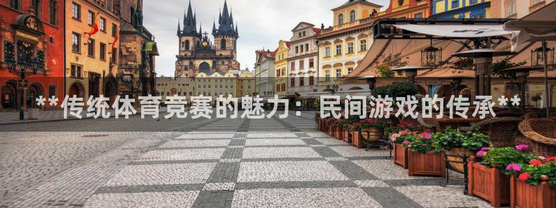 星欧娱乐挂机赚钱
