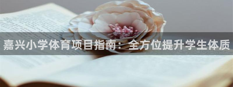 星欧娱乐属于什么档次的公司啊