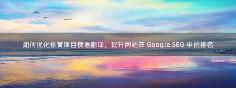 星欧娱乐属于什么档次的软件公司