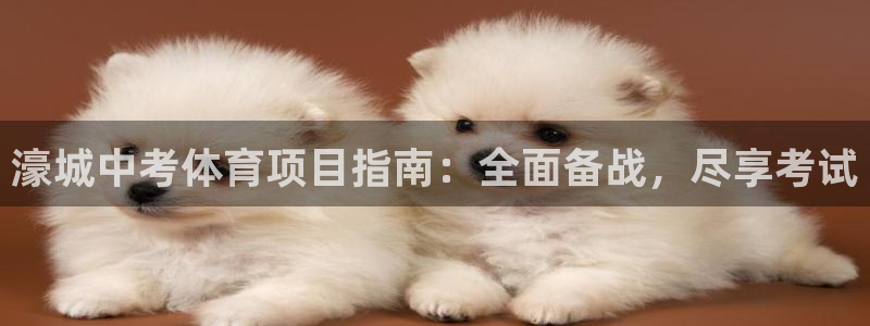 星欧娱乐最建议买的三个游戏账号
