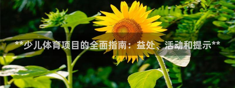 星欧娱乐工711.112怎么没有了