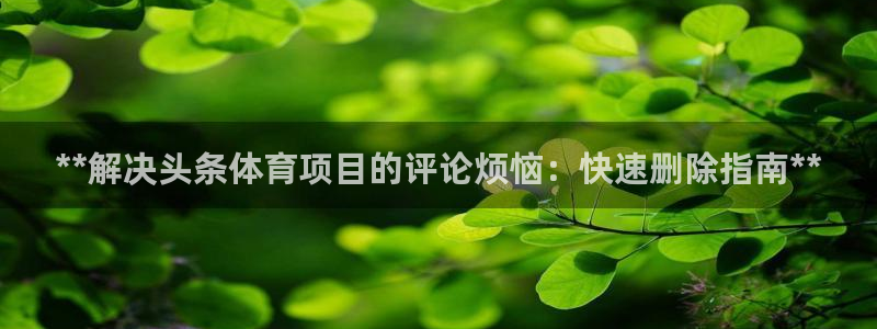星娱乐文化传媒