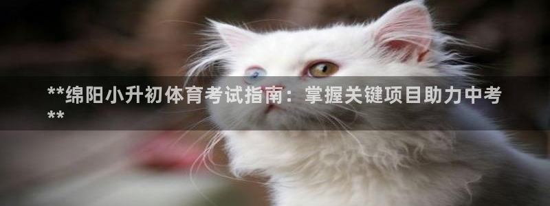 星欧娱乐彩票软件下载官网