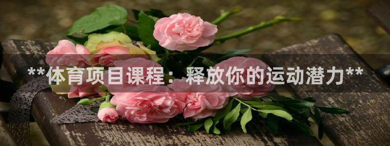 星欧娱乐官方客服联系方式查询