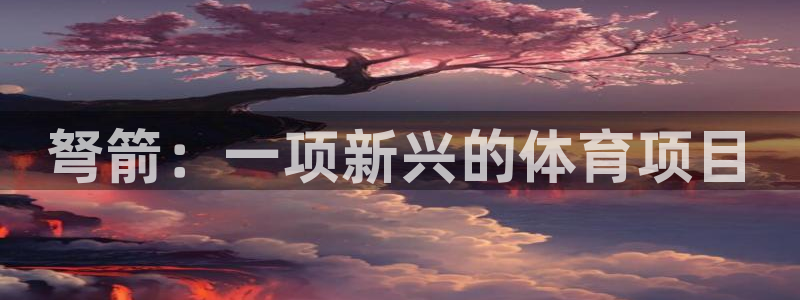 星欧娱乐扣款时间查询方法是什么意思
