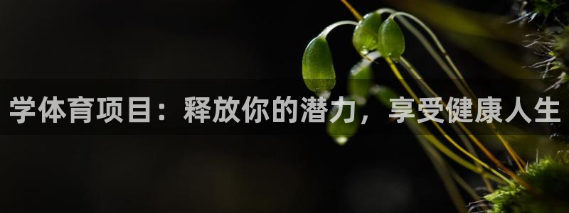 星欧娱乐测速