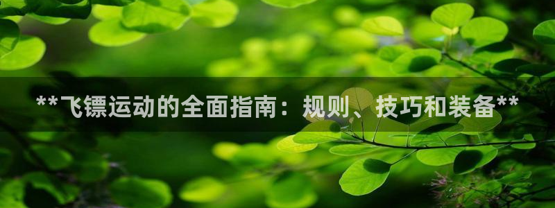 星欧娱乐属于什么档次的软件公司