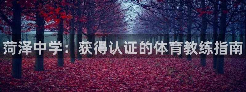 星欧娱乐最建议买的三个产品