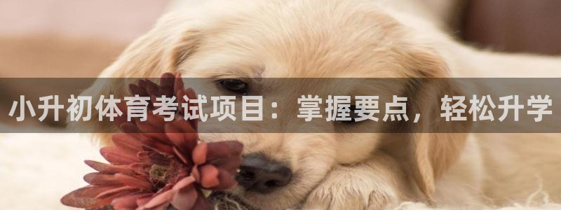 星欧娱乐官网下载安装