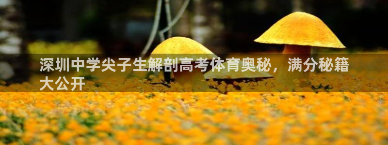 澳星国际娱乐集团