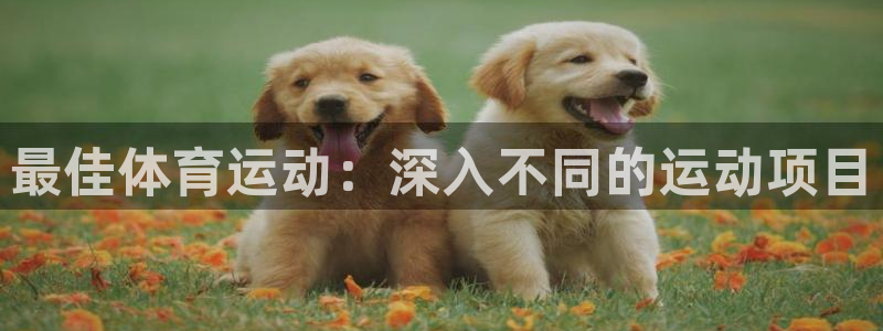 星欧娱乐扣款时间查询方法是什么