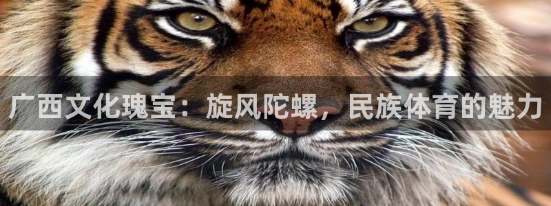 江苏星奥娱乐有限公司报名