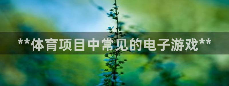 星欧娱乐扣款时间查询方法是什么样的