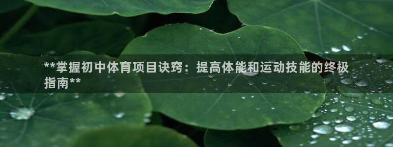 星奥娱乐待遇怎么样