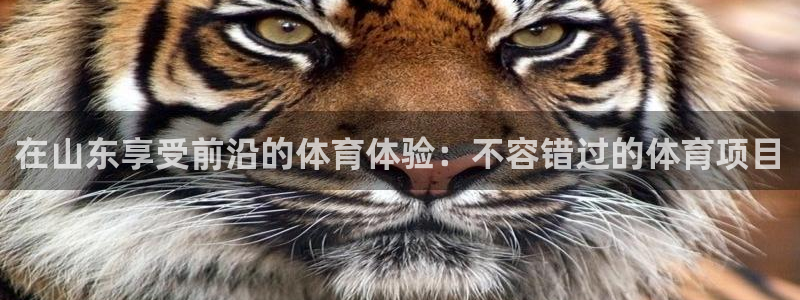 星娱乐文化传媒有限公司