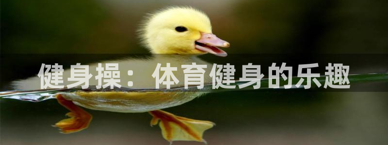 星欧娱乐是什么品牌