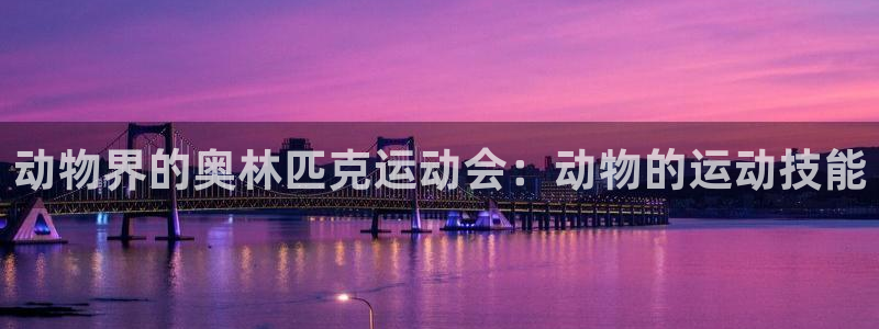 星欧娱乐总代.直开.中国