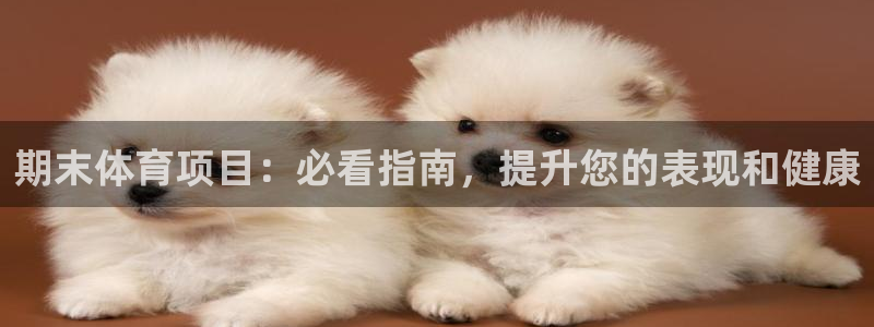 星欧娱乐平台测速线路设置