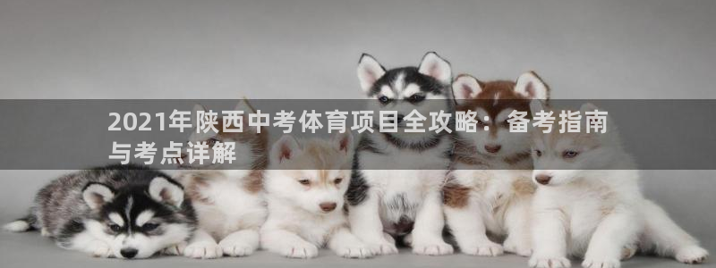 星娱乐包月业务是什么