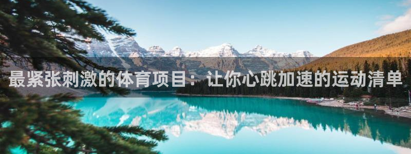 星欧娱乐属于什么档次的软件公司