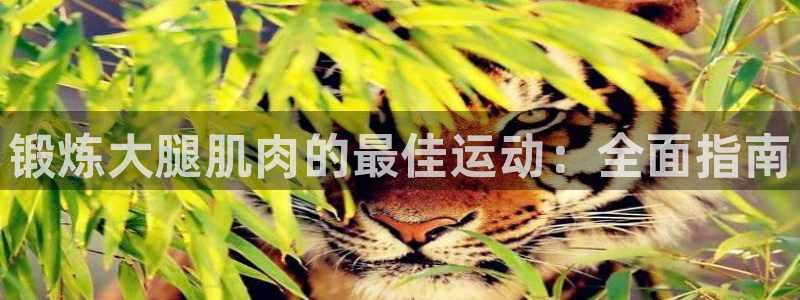 星欧娱乐属于什么档次的网站