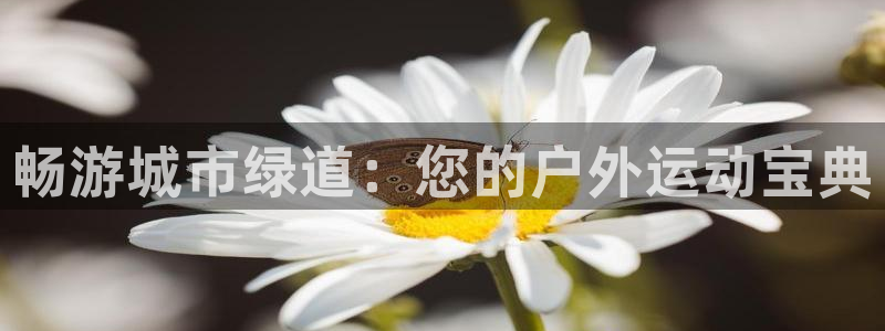 星欧娱乐和嫲薇他的区别是什么