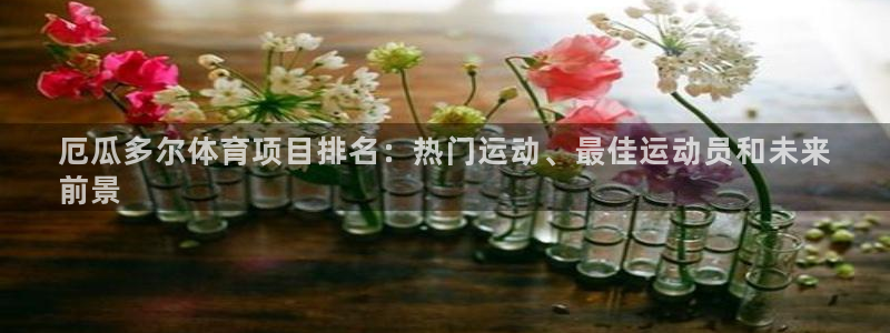 星欧娱乐公司创始人背景故事