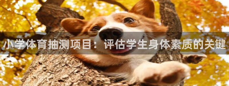 星欧娱乐的创始人背景故事简介