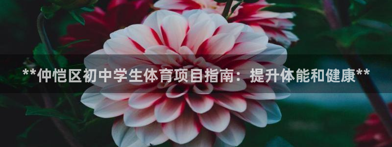 星欧娱乐测速软件下载