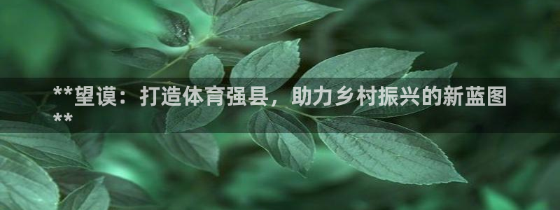 星欧娱乐公司