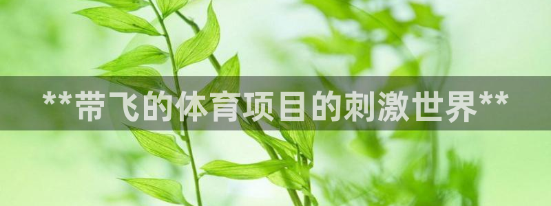 星奥娱乐集团股份有限公司