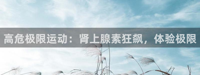 星欧娱乐平台怎么样啊安全吗