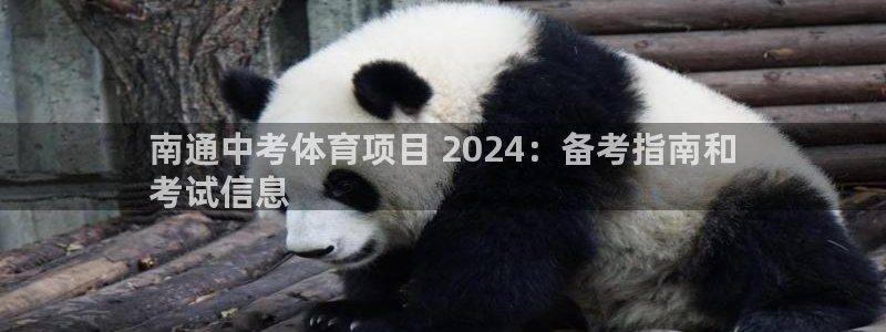 星奥娱乐集团股份有限公司怎么样