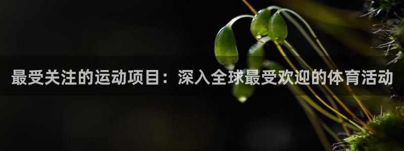 星欧娱乐平台怎么样啊安全吗