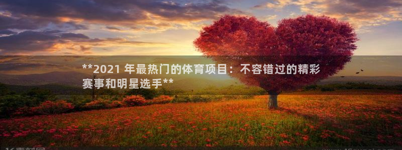 星欧娱乐属于什么档次的软件公司