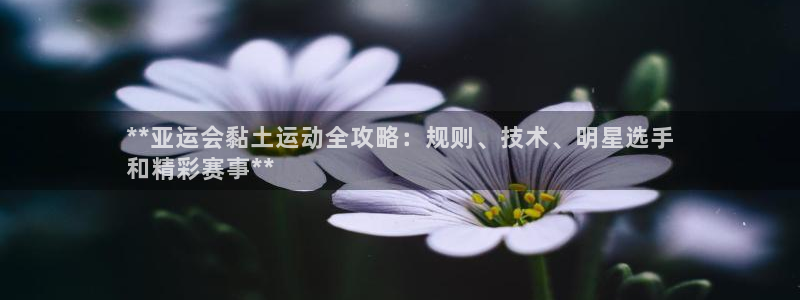 星欧娱乐扣款流程详解图片大全