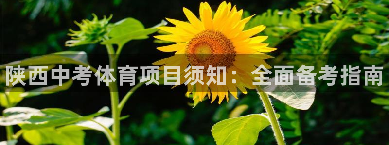 星欧娱乐法最新进展