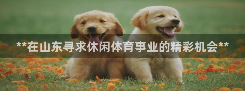 星欧娱乐扣款流程详解图片大全