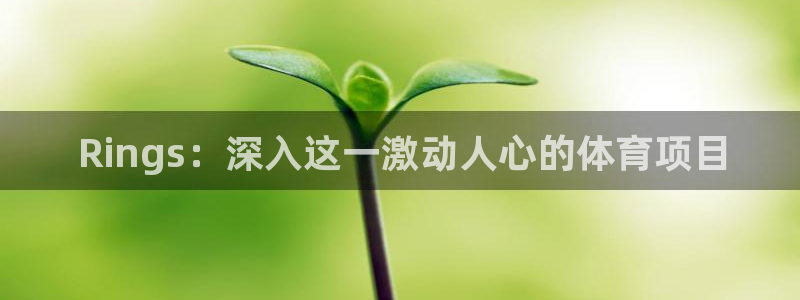 江苏星奥娱乐