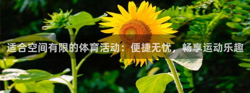 星欧娱乐挂机赚钱