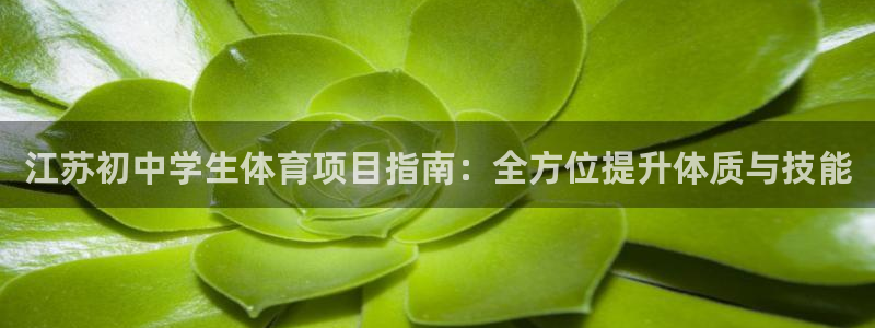 星欧娱乐工客服电话24小时人工服务