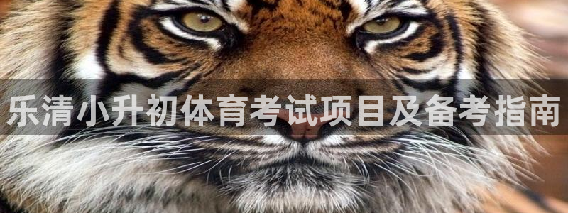 星乐娱乐官网