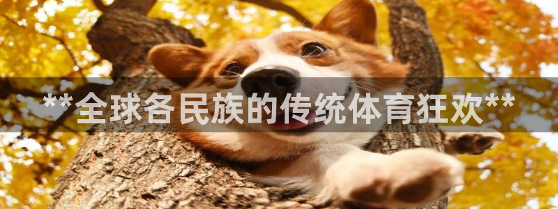 星欧娱乐最建议买的三个游戏
