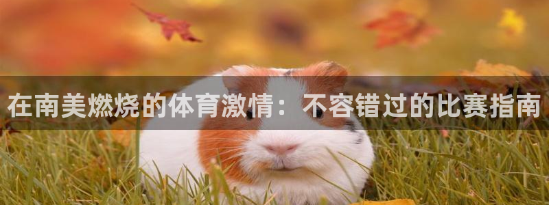 江苏星奥娱乐招艺人