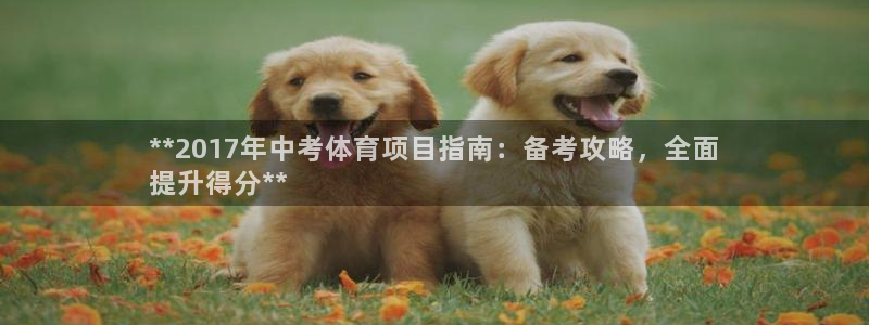 星欧娱乐平台怎么样可靠吗知乎