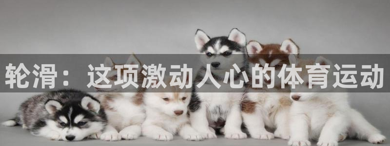 新星娱乐怎么开挂