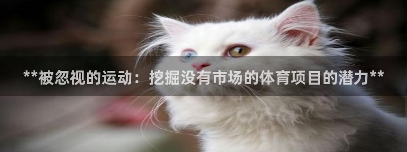 星娱乐文化传媒有限公司