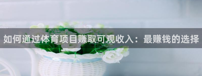 星欧娱乐挂机赚钱