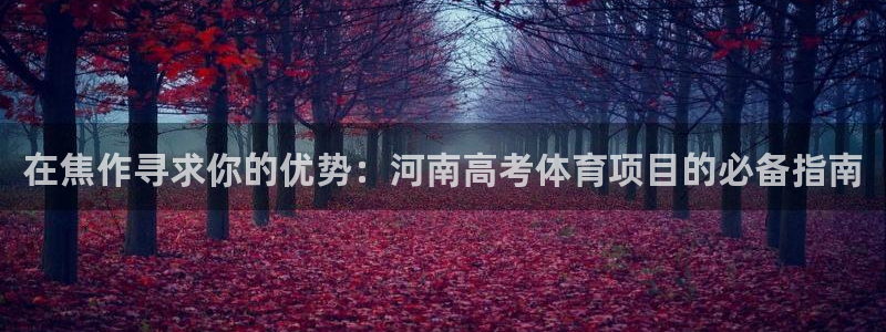 星欧娱乐扣款流程详解图