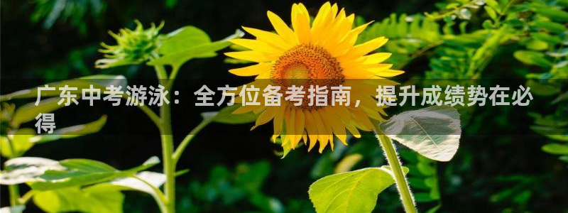 星欧娱乐扣款时间查询方法